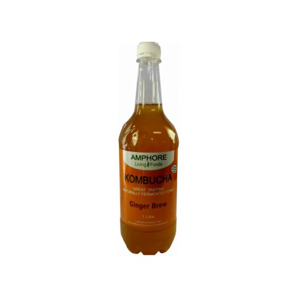 KOMBUCHA GINGER BREW - DELICIOUS FERMENTED GREEN TEA BY AMPHORE LIVING FOODS