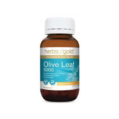 Olive Leaf 5000 - Immune Health - Cardiovascular Health by Herbs of Gold