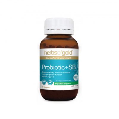 Probiotic + SB - Restores Healthy Gut Bacteria - Immunity by Herbs of Gold