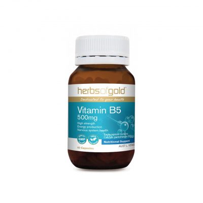 Vitamin B5 500mg - Energy Production - Nervous System Health by Herbs of Gold